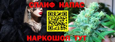 Альфа ПВП Жуковский