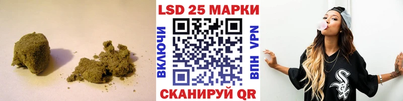 наркотики  Новозыбков  блэк спрут ссылка  ЛСД экстази кислота 