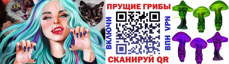где найти наркотики  Новозыбков  Галлюциногенные грибы прущие грибы 