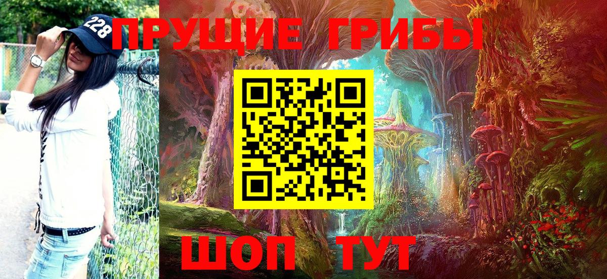 Новозыбков  сколько стоит  Вход с VPN  Псилоцибиновые грибы GOLDEN TEACHER 