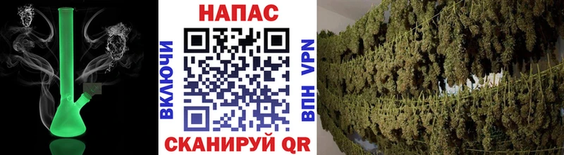 Бошки марихуана Ganja  Новозыбков 